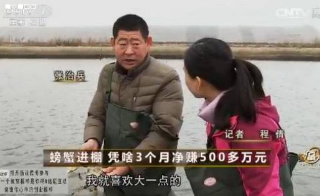 下班后用DeepSeek写农村小生意做流量主，日赚500元